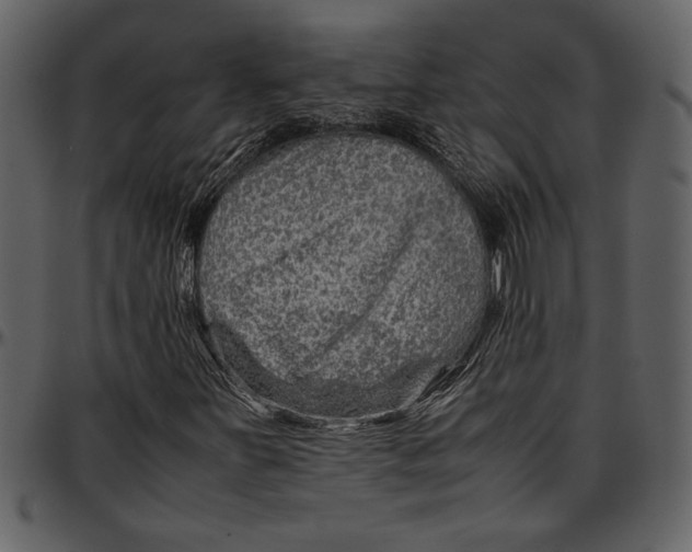 X0000096941251200802291024