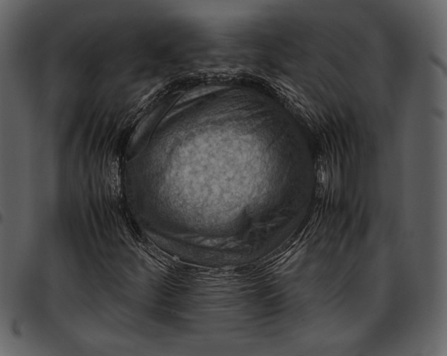 X0000096941252200802291024