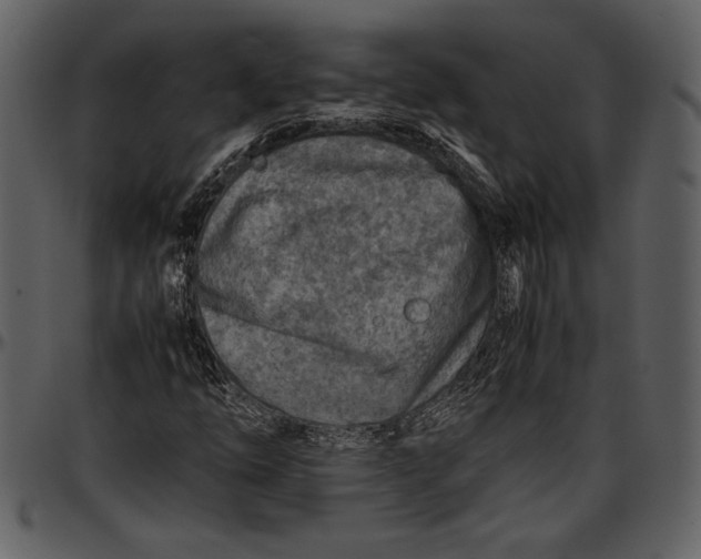 X0000096941254200802291024