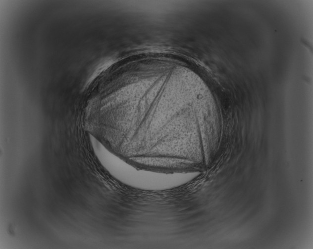 X0000096941255200802291024