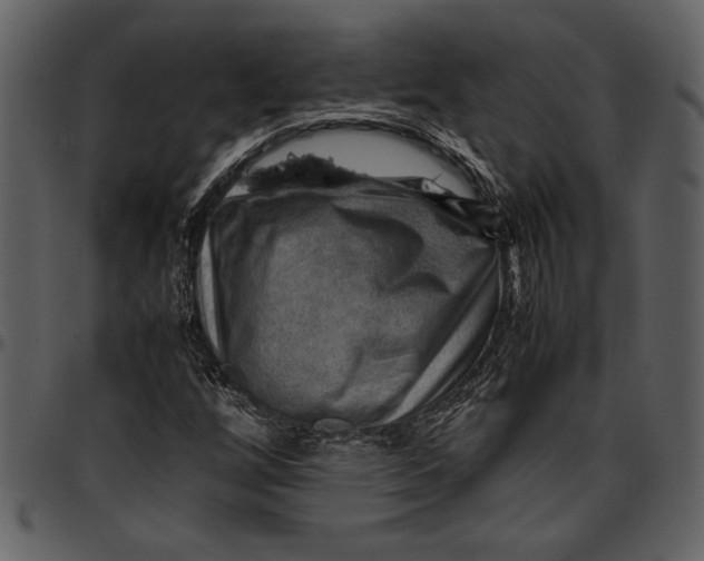 X0000096941256200802291024