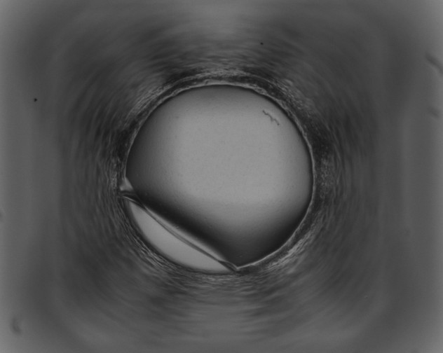 X0000096941257200802291024