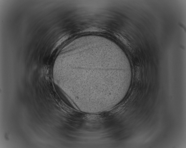 X0000096941258200802291024