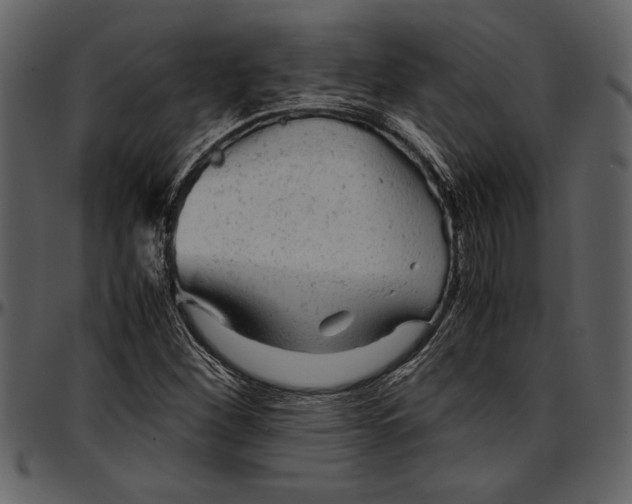 X0000096941260200802291024