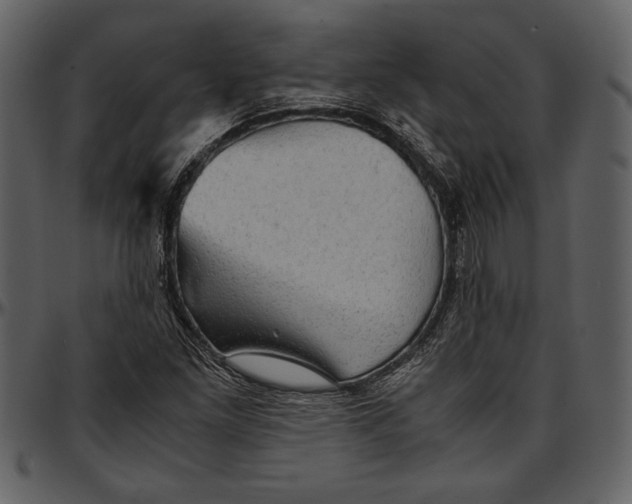 X0000096941261200802291024