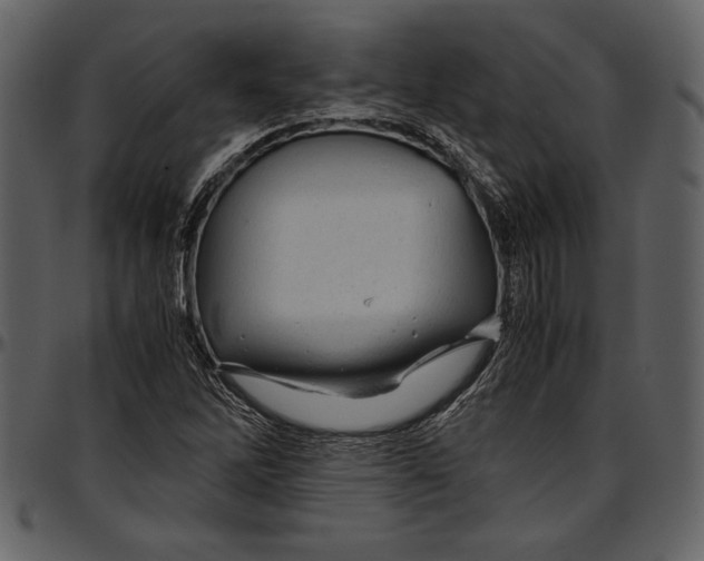 X0000096941262200802291024