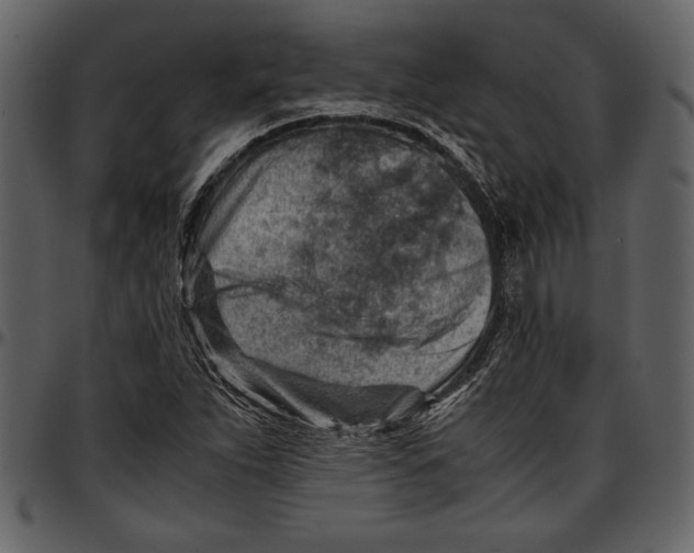 X0000096941263200802291024