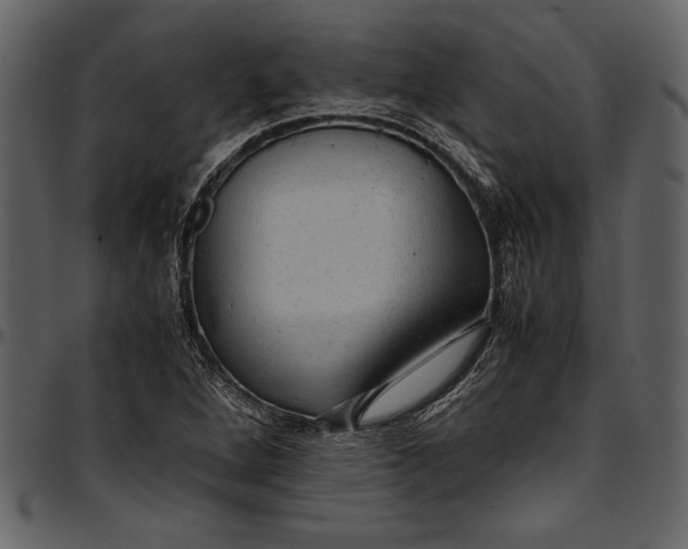 X0000096941264200802291024