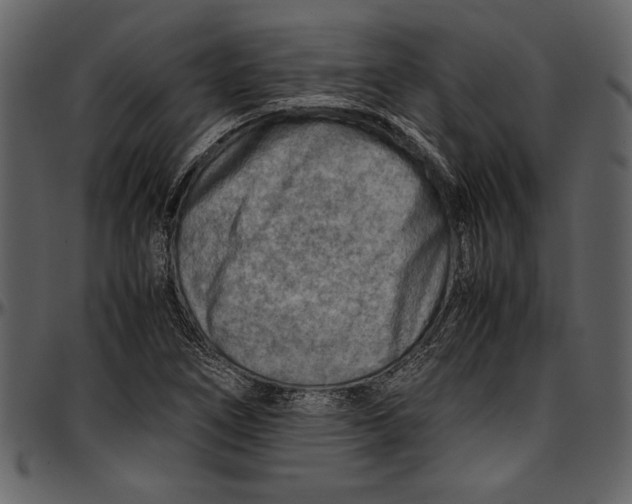 X0000096941266200802291024