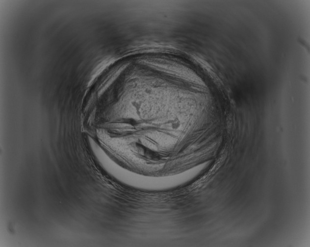 X0000096941267200802291024