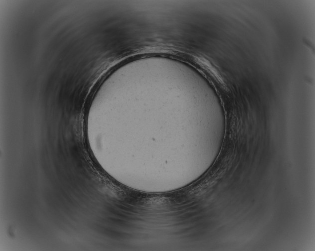 X0000096941268200802291024