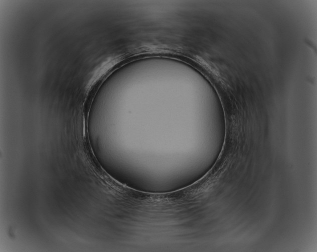 X0000096941269200802291024