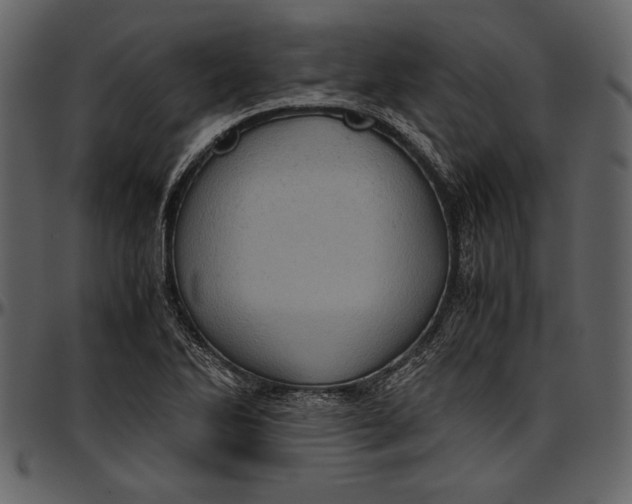 X0000096941270200802291024