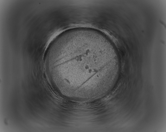 X0000096941271200802291024