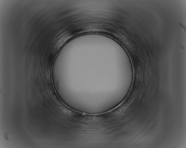 X0000096941273200802291024