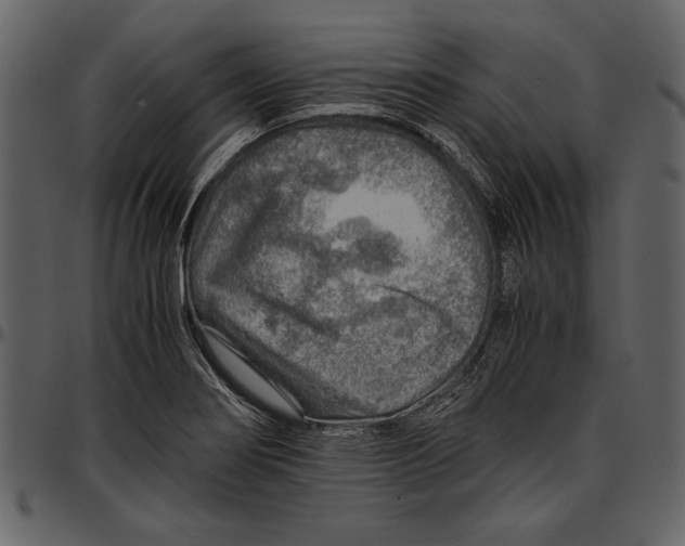 X0000096941274200802291024