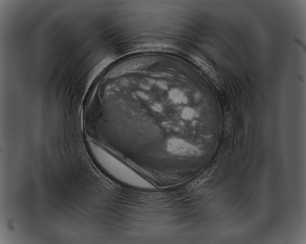 X0000096941275200802291024