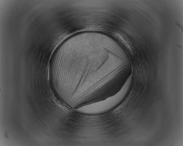 X0000096941276200802291024