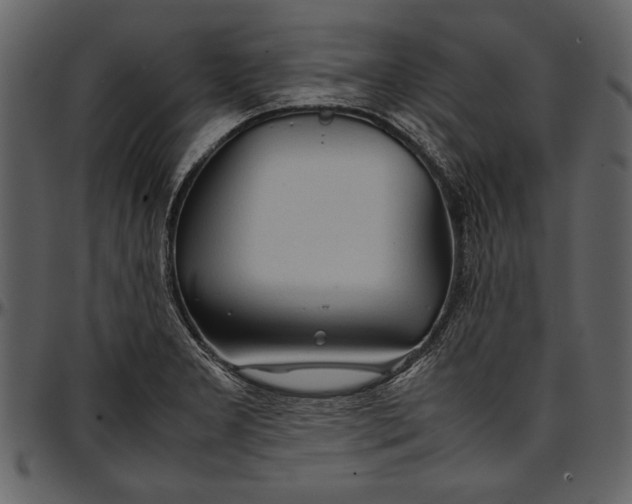 X0000096941277200802291024