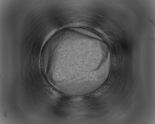 X0000096941278200802291024