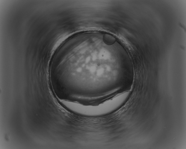 X0000096941279200802291024