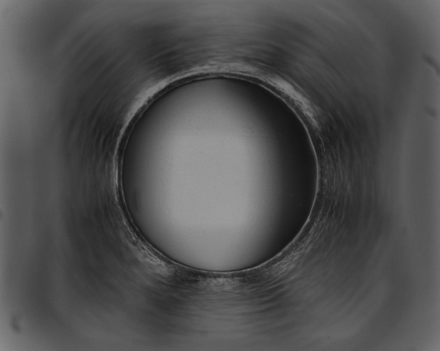 X0000096941280200802291024