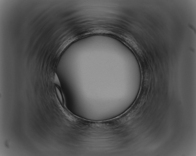 X0000096941281200802291024