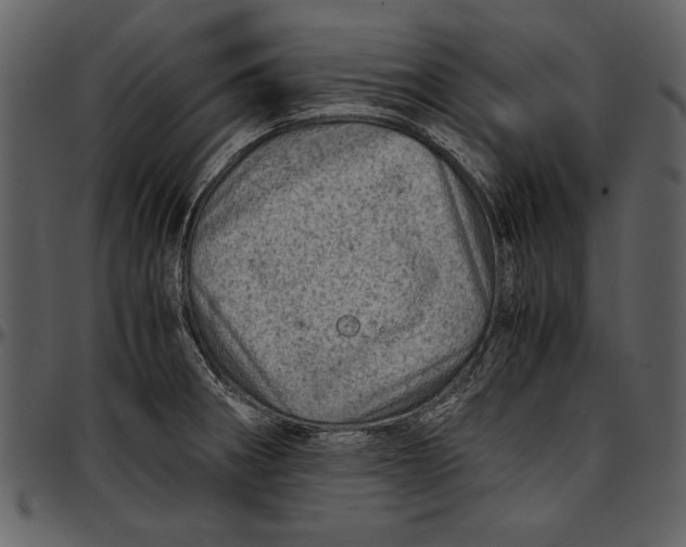 X0000096941282200802291024