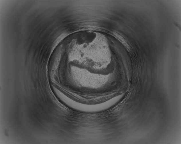 X0000096941283200802291024