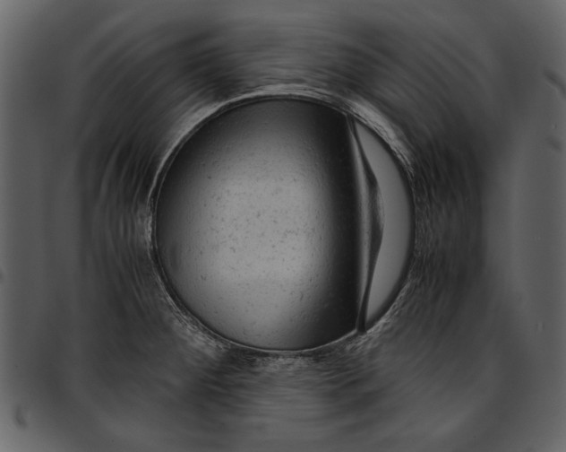 X0000096941284200802291024