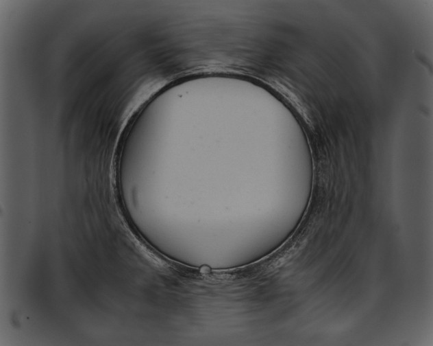 X0000096941285200802291024