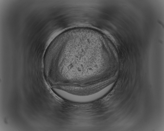 X0000096941287200802291023