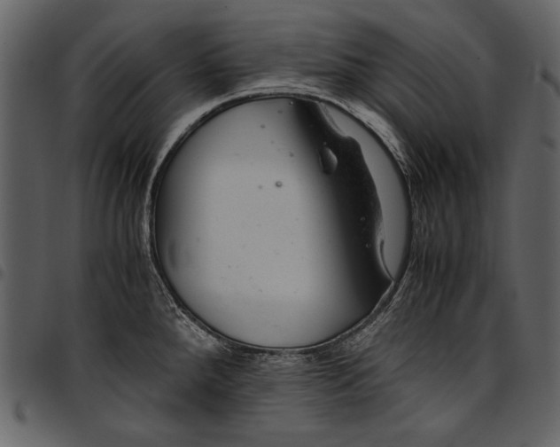 X0000096941288200802291023