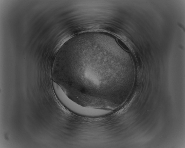 X0000096941289200802291023