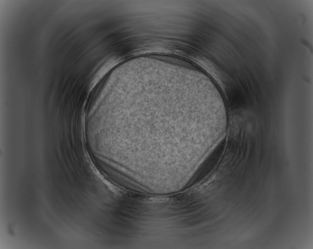 X0000096941290200802291023