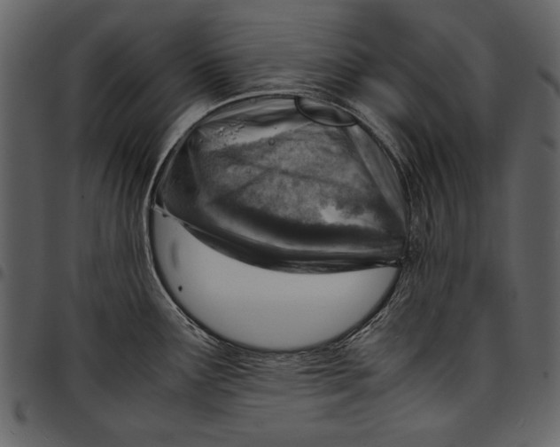 X0000096941291200802291023