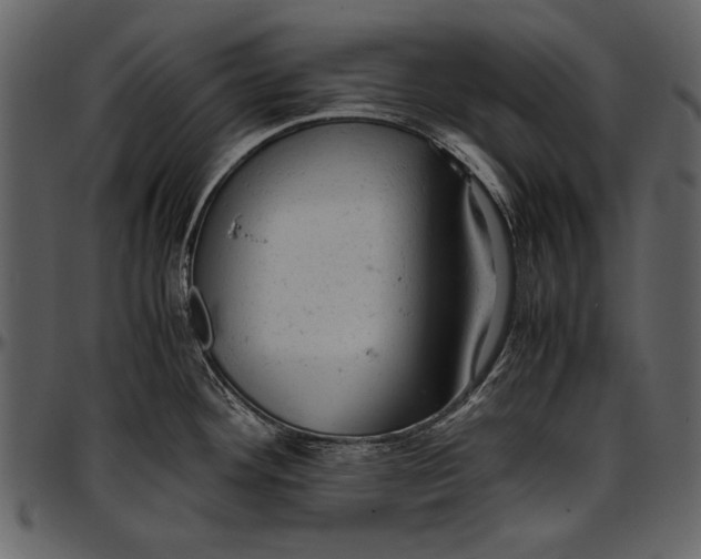 X0000096941292200802291023