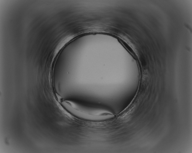 X0000096941293200802291023