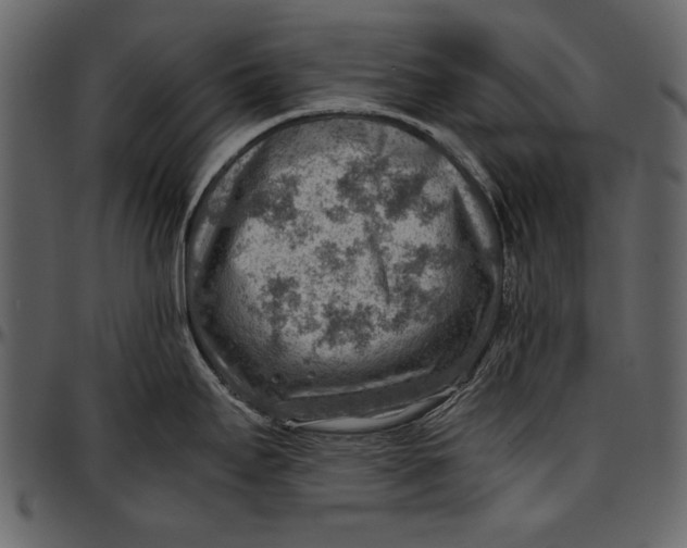 X0000096941295200802291023