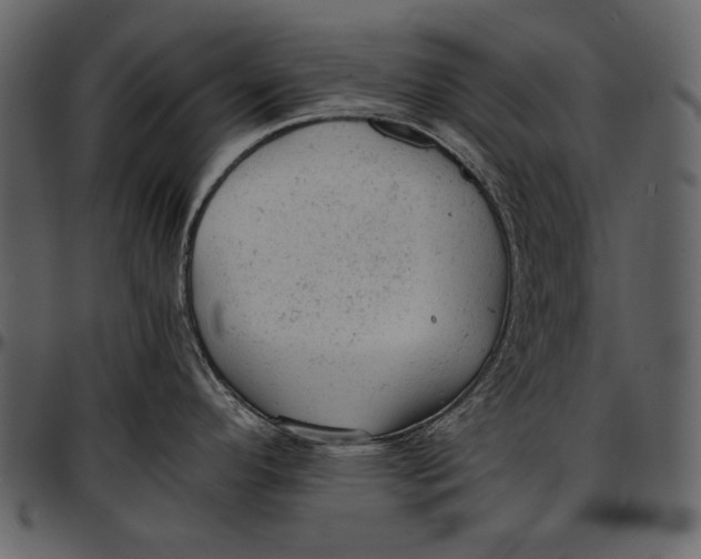 X0000096941296200802291023