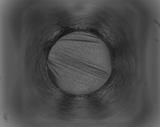 X0000096941297200802291022