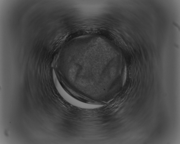 X0000096941298200802291022