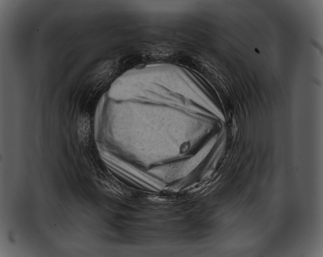 X0000096941299200802291023