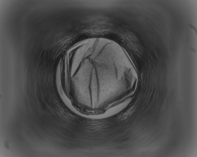 X0000096941300200802291023