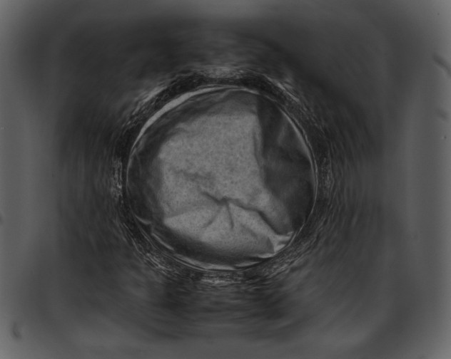 X0000096941301200802291023