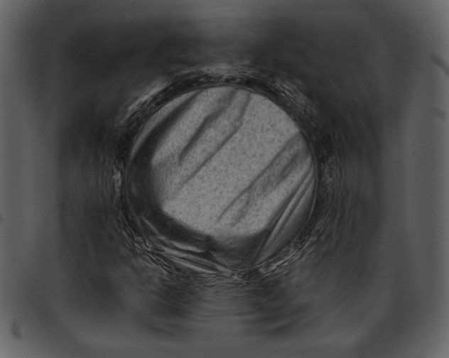 X0000096941302200802291023