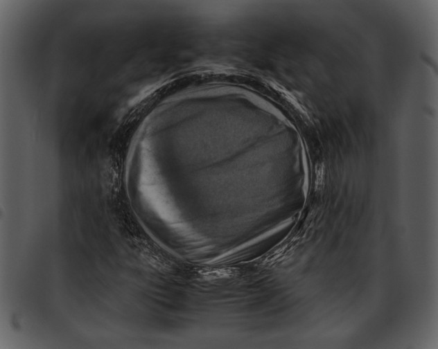 X0000096941303200802291023