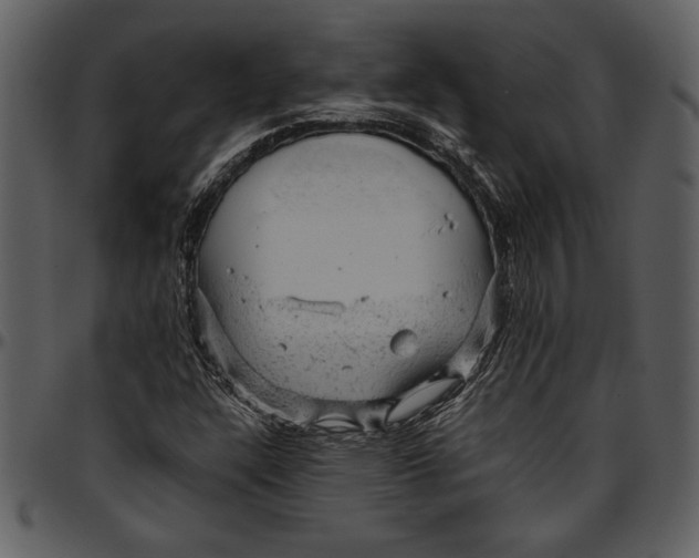 X0000096941304200802291023