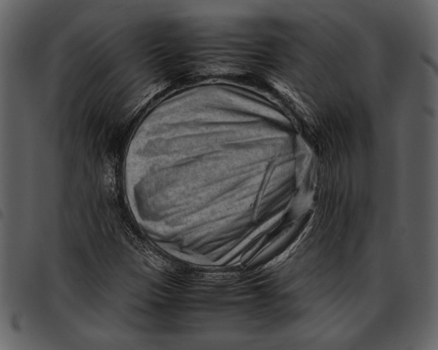 X0000096941305200802291023