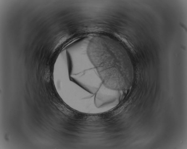 X0000096941306200802291023